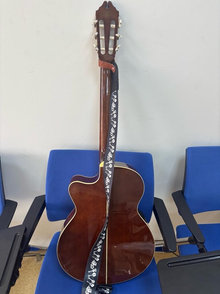 Wasburn EACT12 Elektro Klasik Gitar - 5