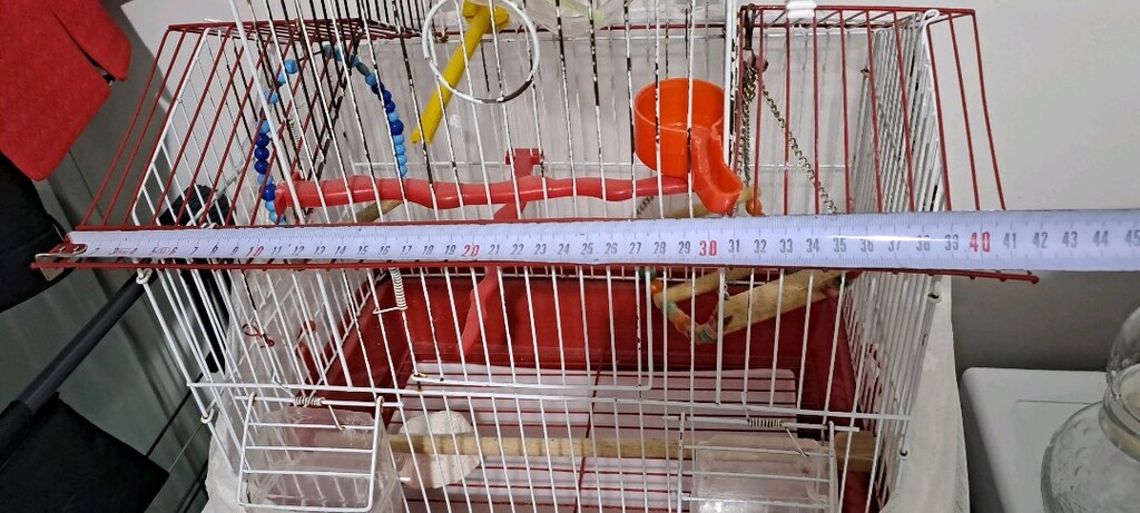 Muhabbet kuşu kafesi 500 tl Araç gereçleri ve gıdaları fazlası ile var - 6
