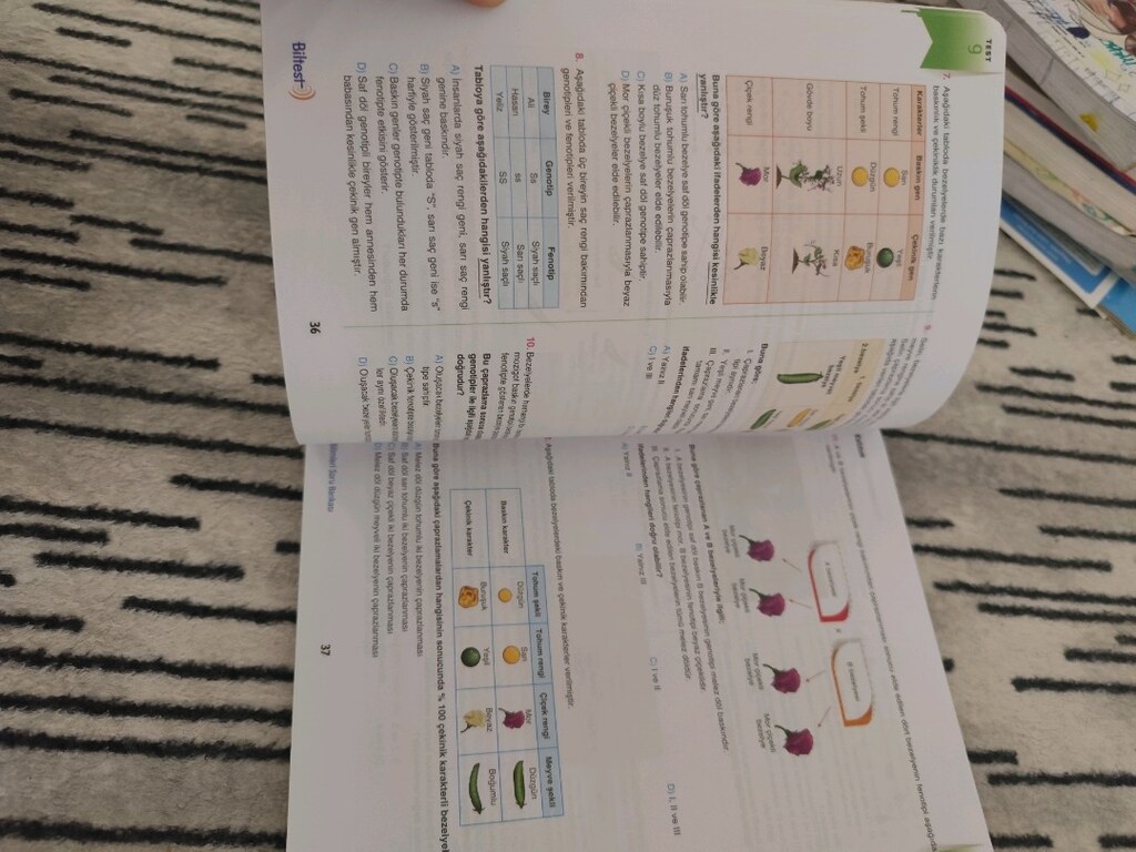 8. sınıf Fen , inkılap soru bankası - 3