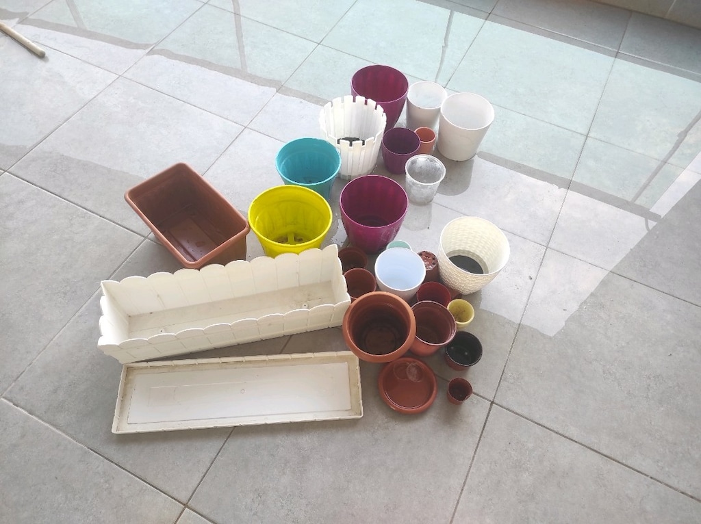 Saksılar - 3