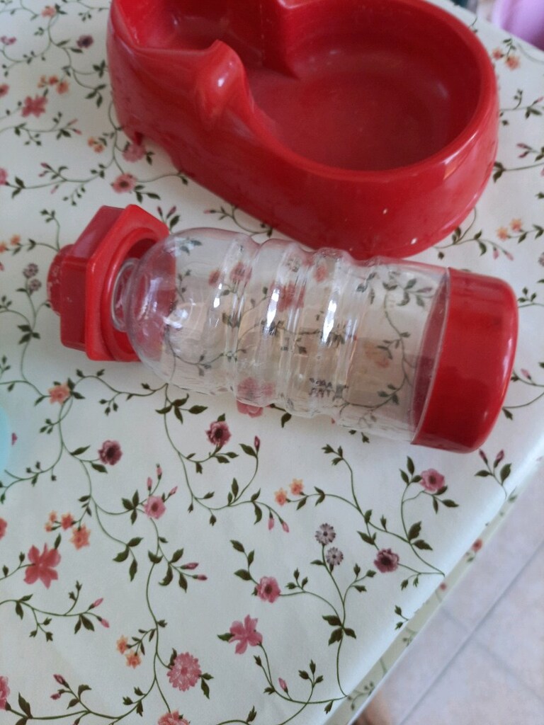 kedi soluğu - 3