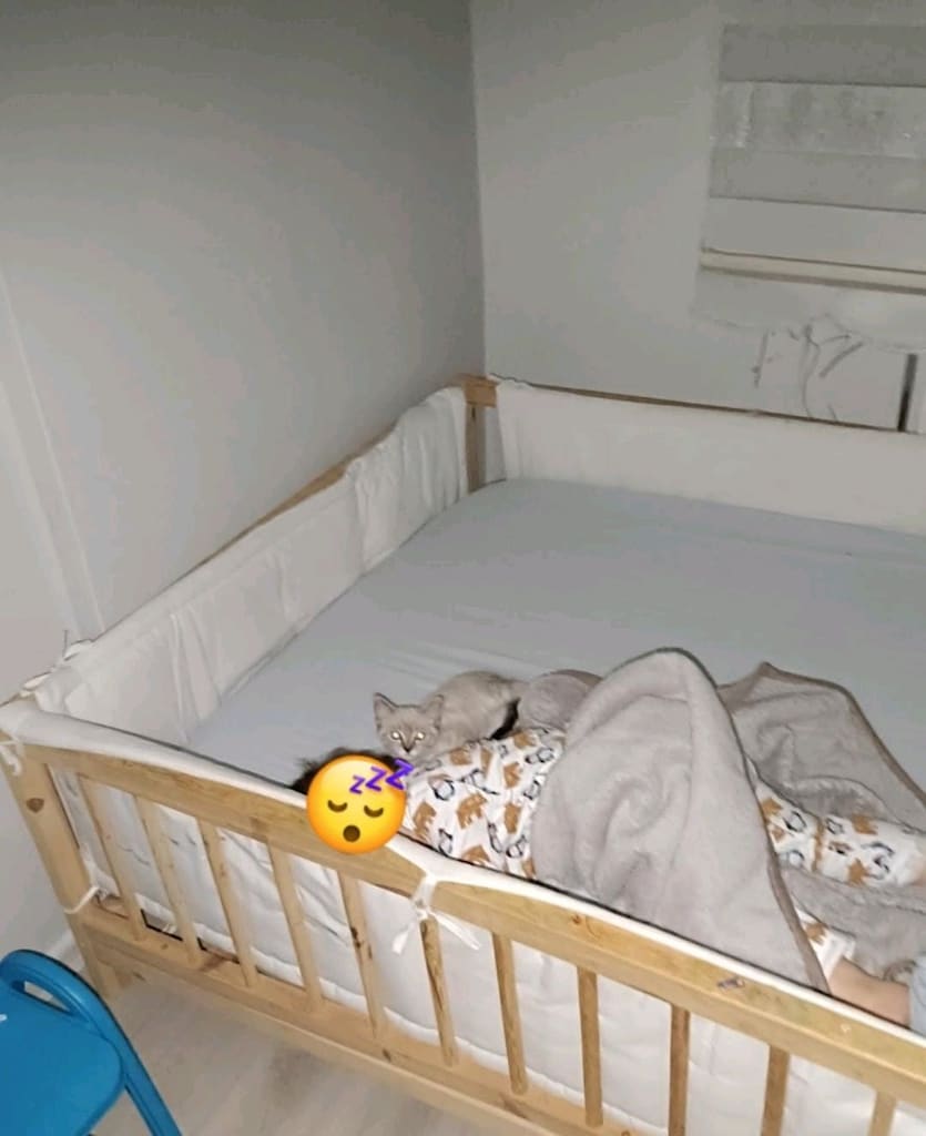 ahşap çocuk yatağı