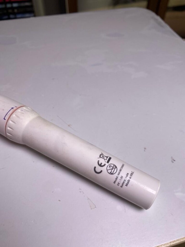 Nascita Pilli Tırnak Törpüsü - 3