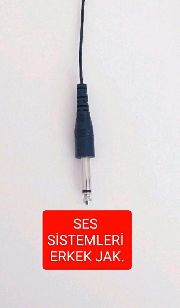 SES SİSTEMLERİ *BİR UCU ERKEK DİĞER UCU DİŞİ. *ERKEK. JAKLAR. - 3
