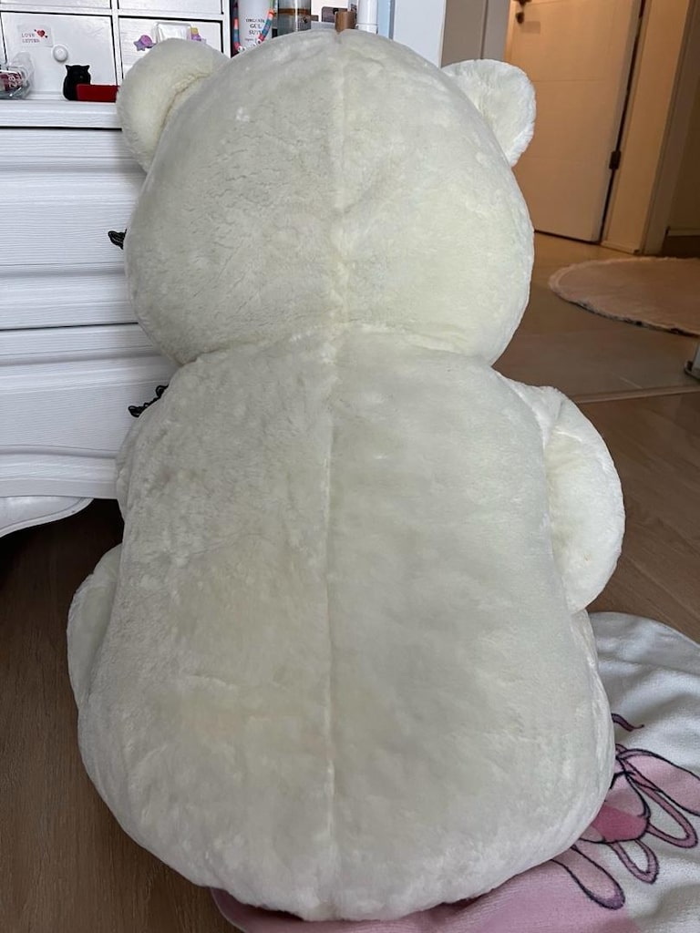 Büyük Peluş Ayı - 5