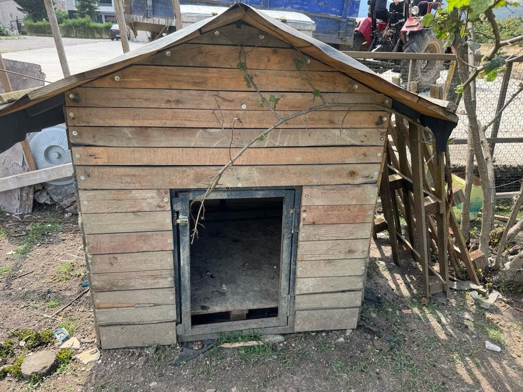 Köpek Kulubesi - 3