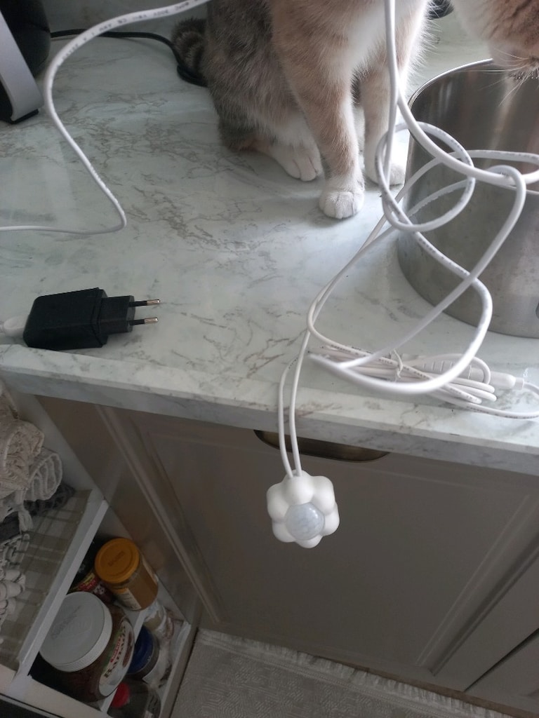 Kedi Su Sebili - 6