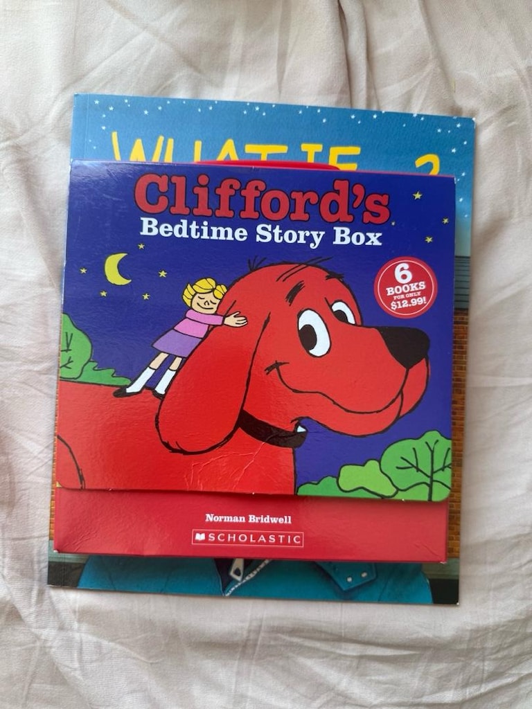 İngilizce Çocuk Kitapları Seti – Usborne, Ladybird, Scholastic, DogMan - 8