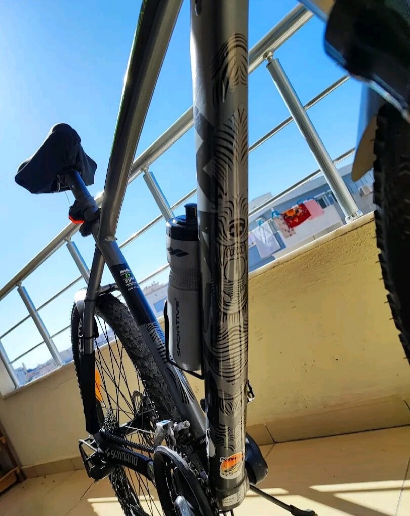 Bisan 7300 Bisiklet - 2