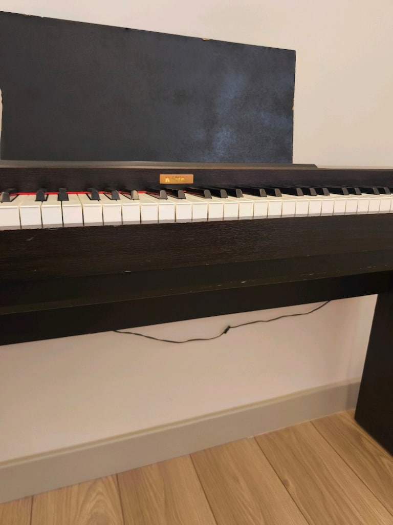 Elektro Piyano Emektar - 5