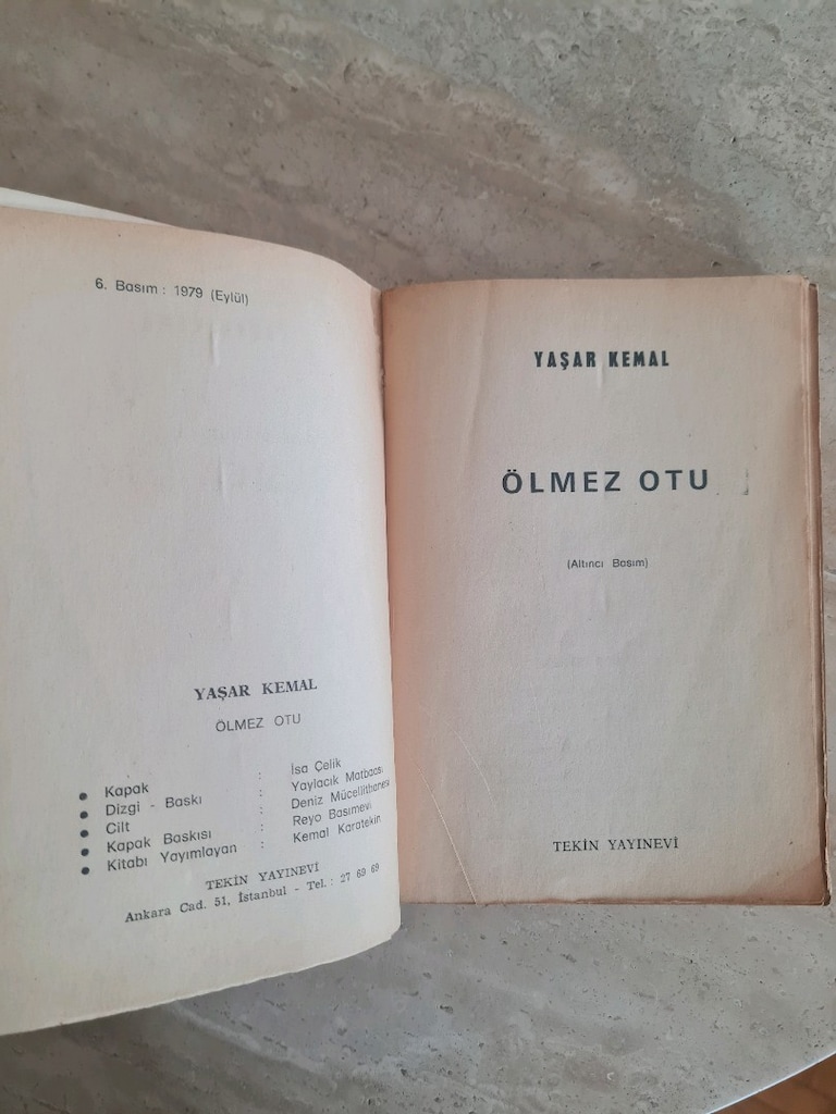 Yaşar Kemal Ölmez Otu - 4
