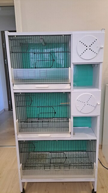 3 KATLI BST MARKA PVC MUHABBET KUŞU KADESİ