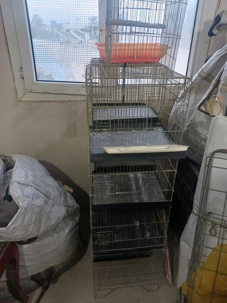 kuş kafesi - 3