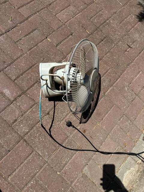 Tavan vantilatörü sorunsuz çalışıyor sarhoş kafa