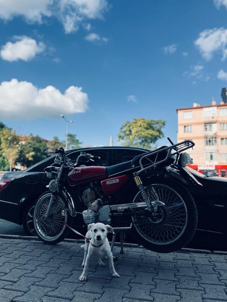 cg zelsun 2600 km’de - 4