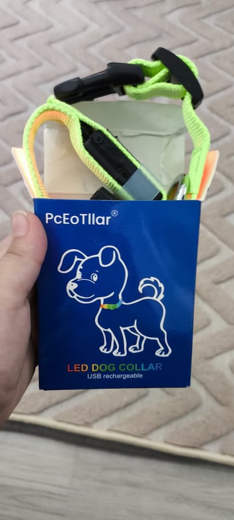 Köpeğiniz Karanlıkta Parlasın - 3