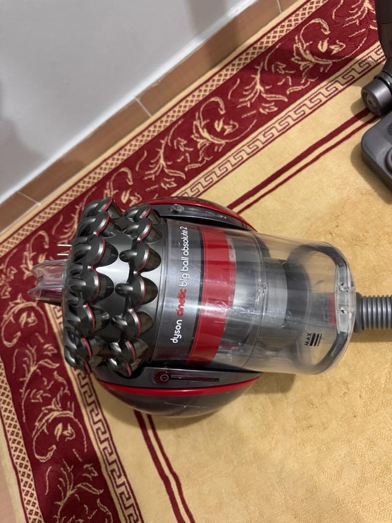 Dyson Cinetic Big Ball Absolute 2 - 2