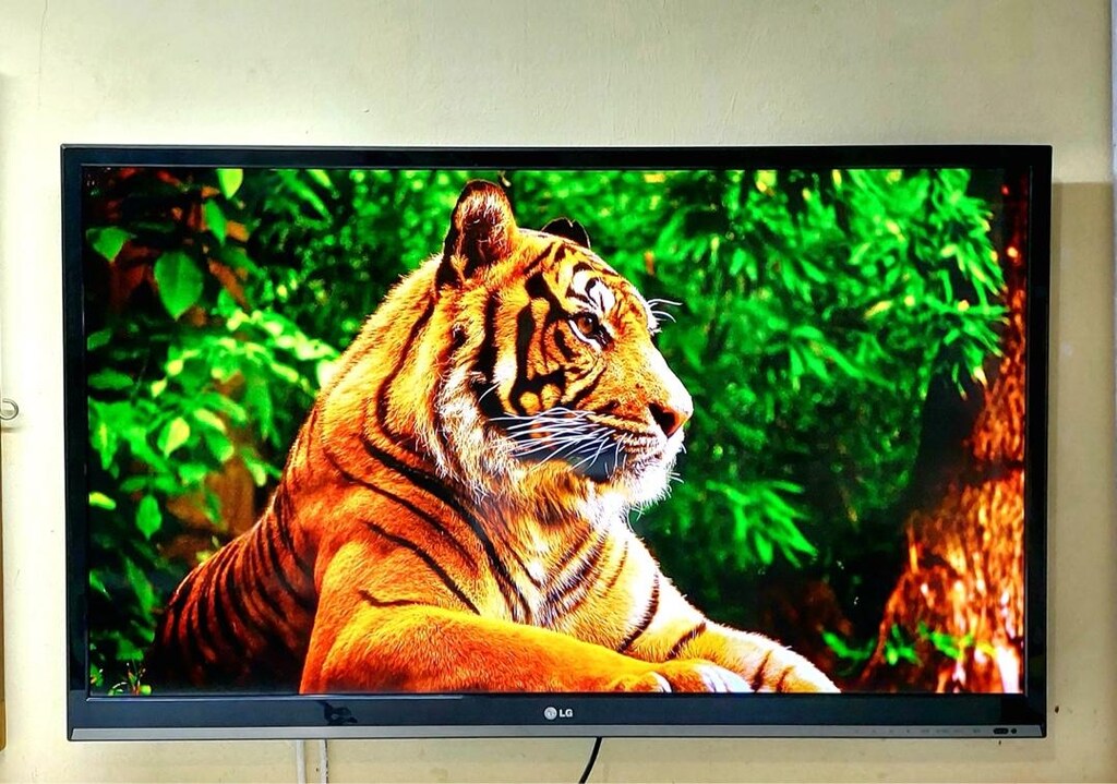 LG 106 EKRAN UYDULU LED TV - 3