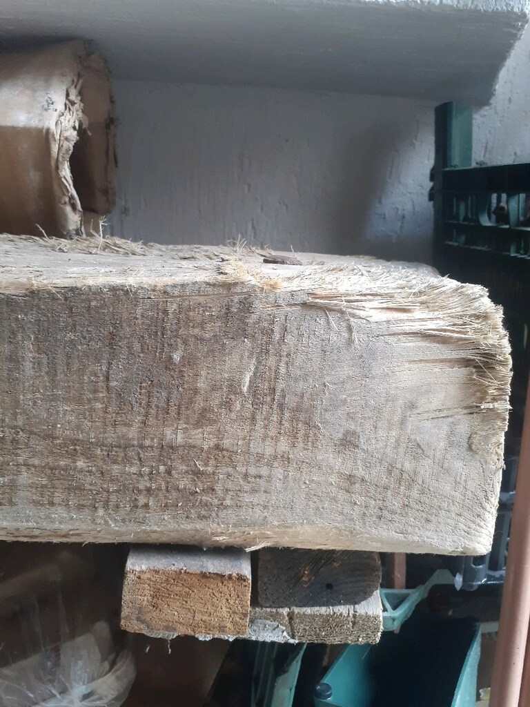 OLCULERI FOTOLARDA - 4
