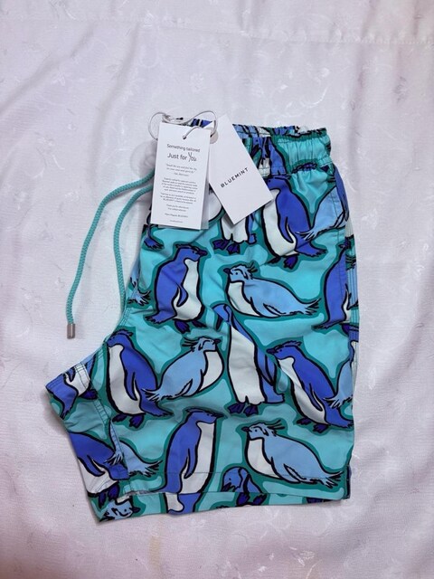 BLUEMINT The Penguın