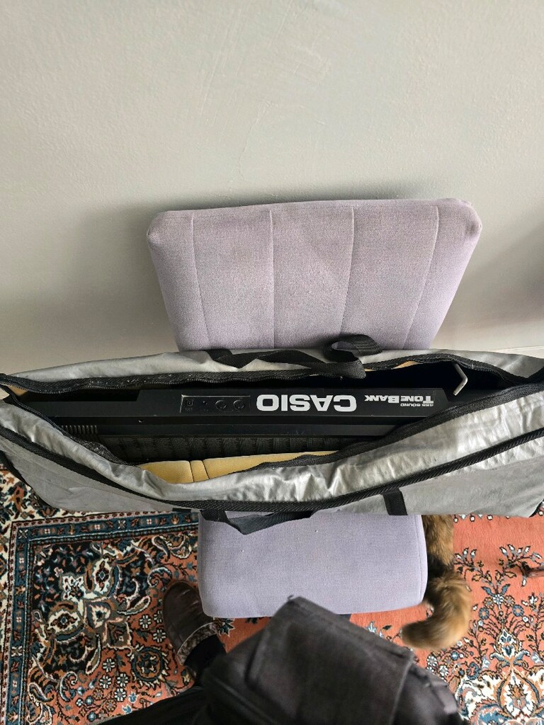 Casio Org - 3