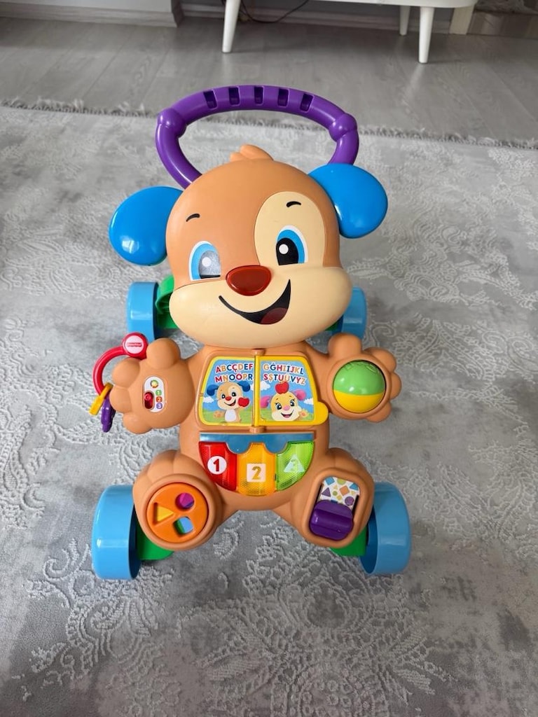Fisher price yürüme arkadaşı