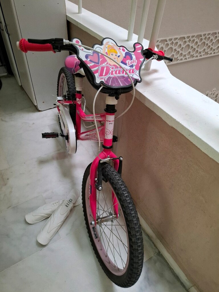 20 jant temiz bisiklet - 2
