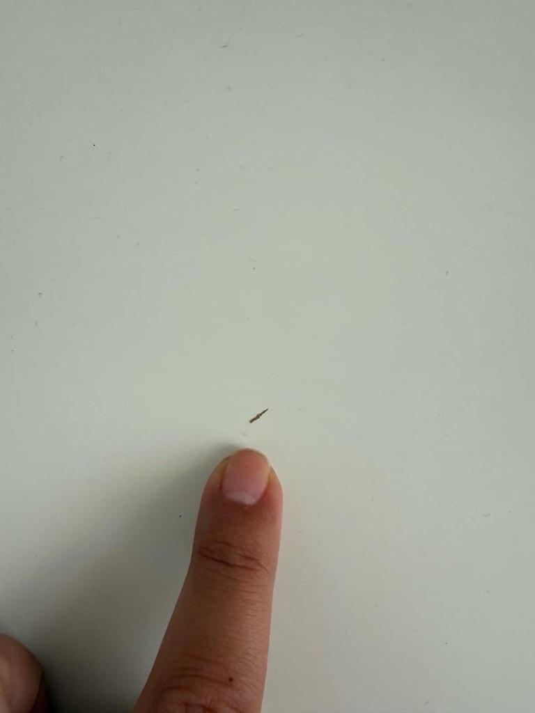 ikea çalışma masası ve sandalyesi - 6