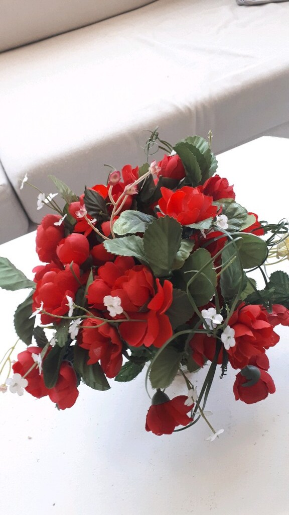 kırmızı güller - 5