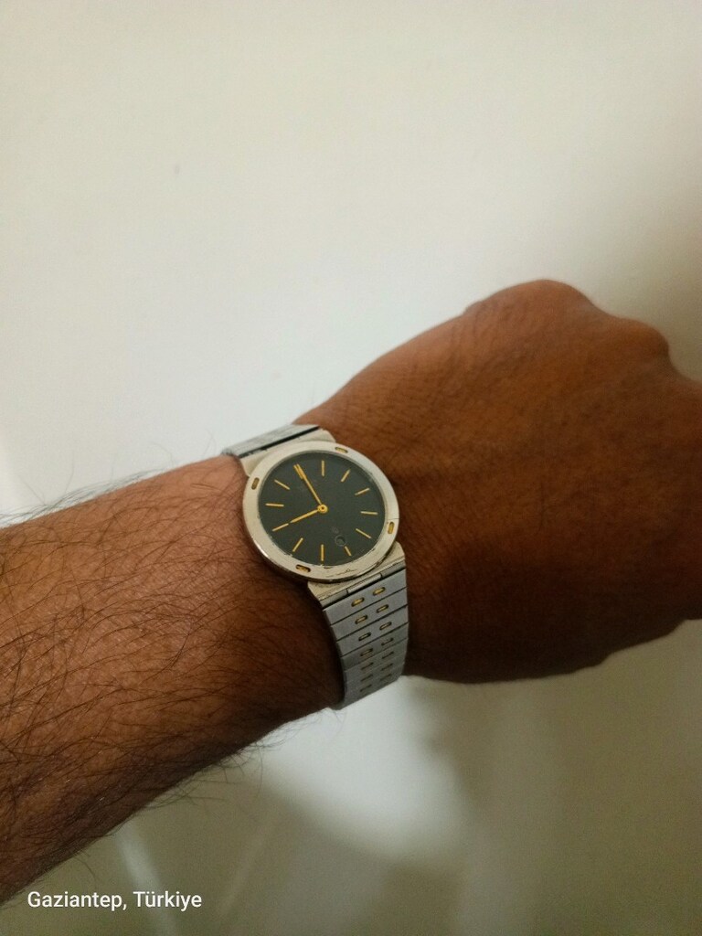 citizen ouartz japan yaprak kasa - 6