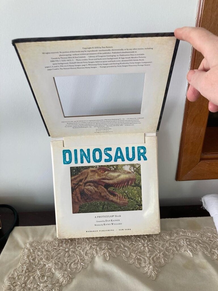 Dinozor resimli İngilizce kitap - 8