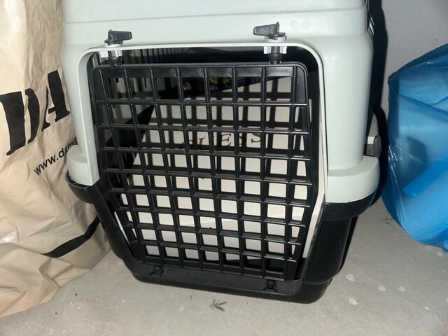 köpek tasıma cantası