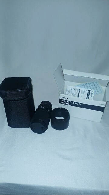 Sigma 105mm f/2.8 DG DN Macro Art Sony E Lens