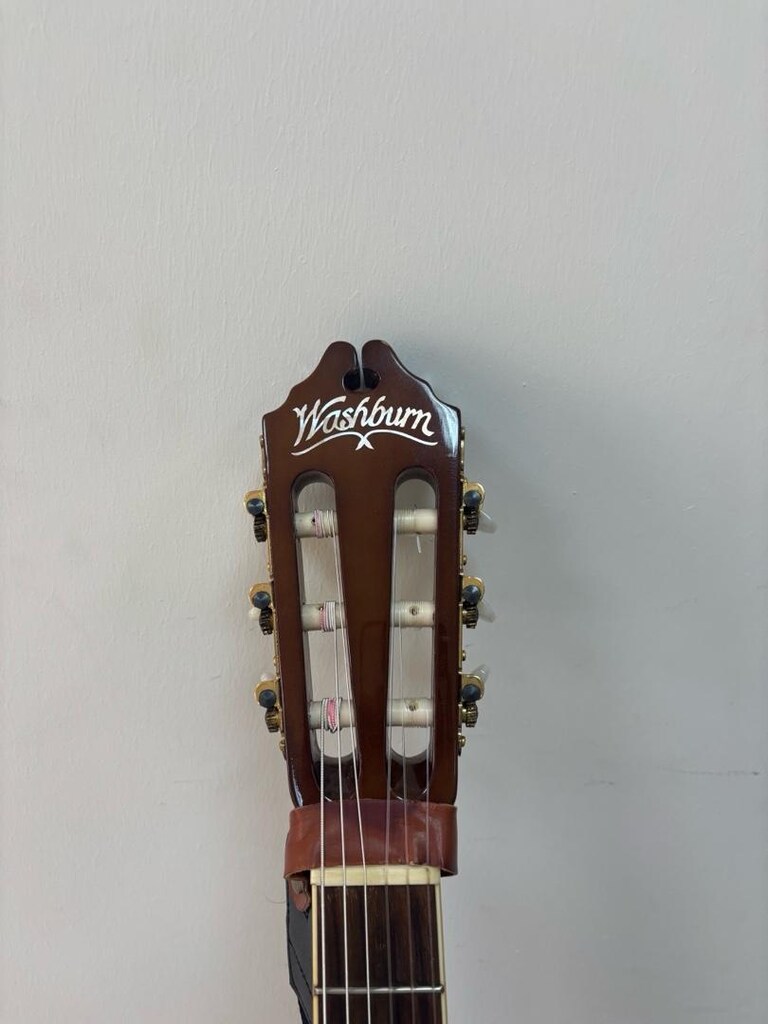 Wasburn EACT12 Elektro Klasik Gitar - 3