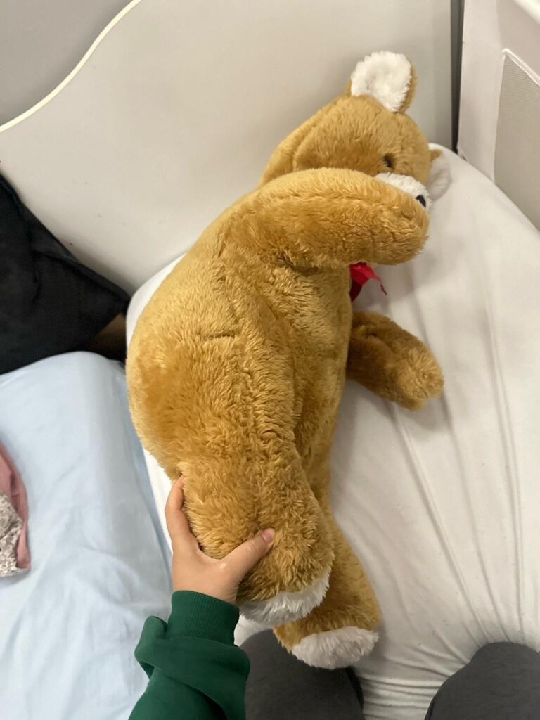 büyük peluş ayı - 5