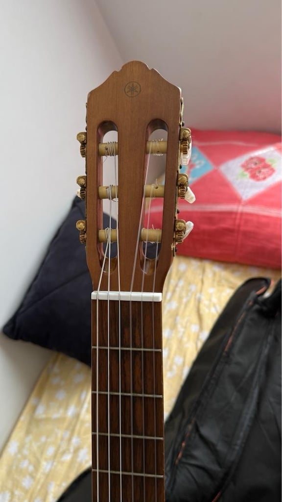 klasik gitar - 8