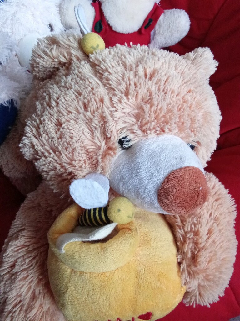 Peluş Oyuncaklar - 5