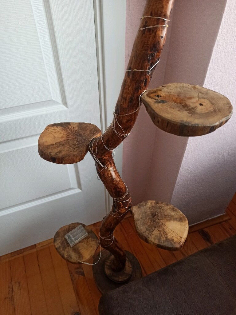 dekoratif ağaç dalı saksılık - 6