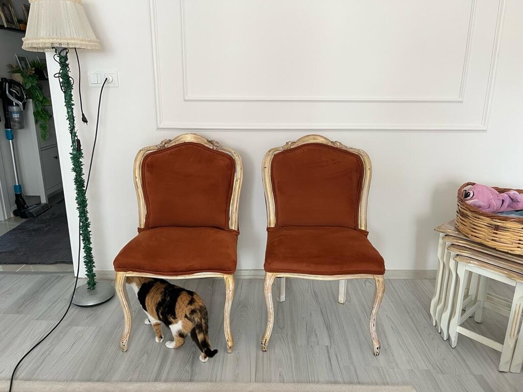 NOSTALJİ AVAMGARD BERJER SANDALYE - 2