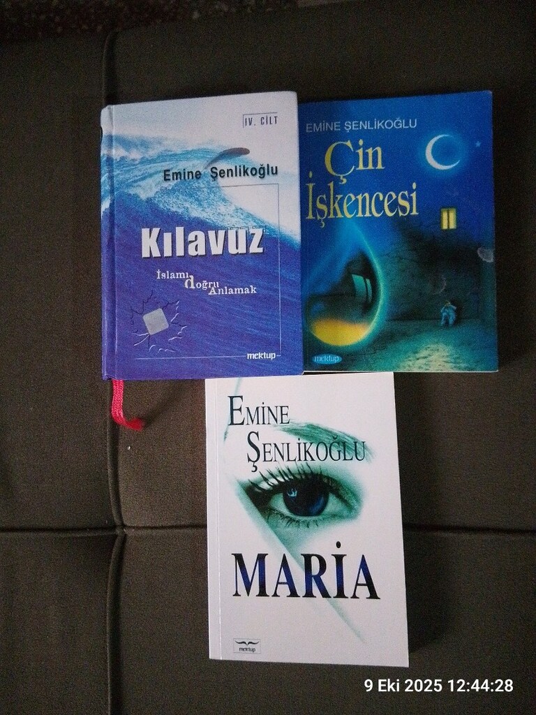 EMİNE ŞENLİKOĞLU KİTAPLARI - 6