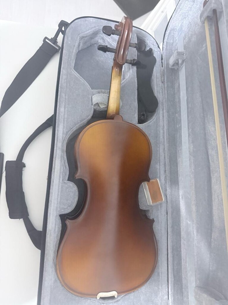 Kelebek Ağacı 1/2 Başlangıç Kemanı - Full Set / Tertemiz