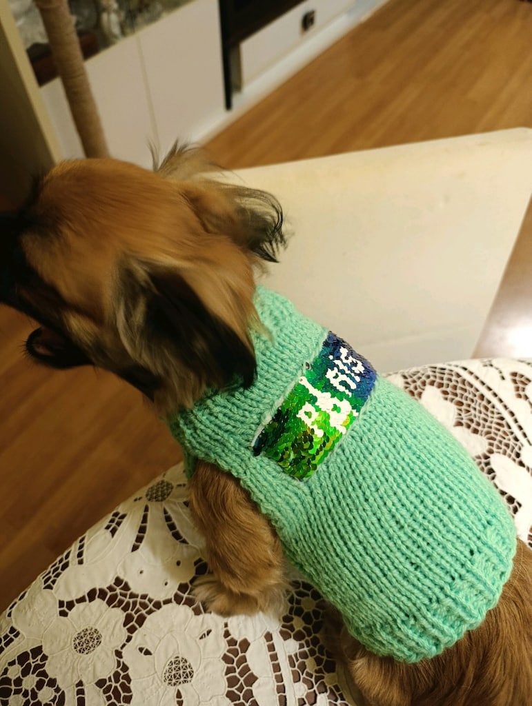 kedi köpek giyim kazak - 4
