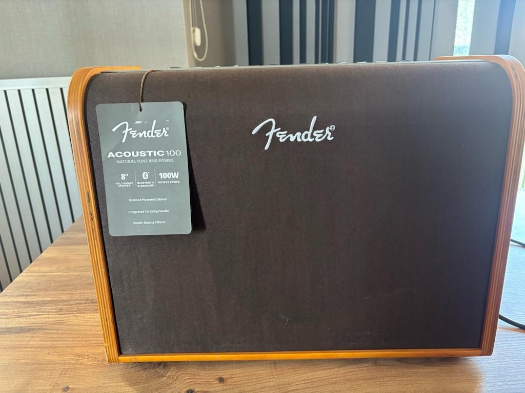 Fender Acoustic 100 Amfi - Hoparlör - 5