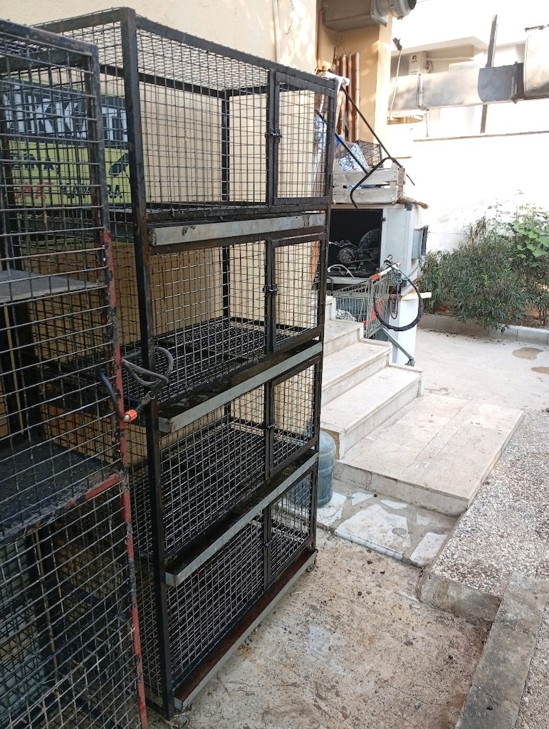 4 katlı üretim kafesi her türlü kümes hayvanı için uygun antalya - 2