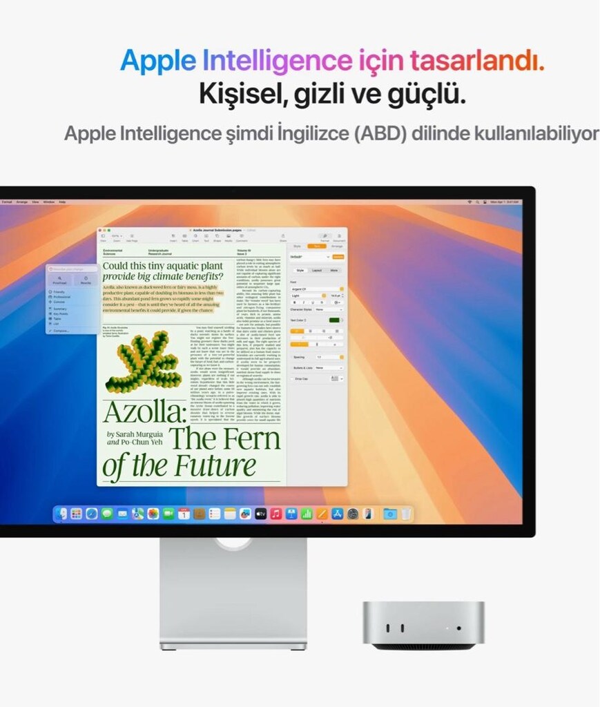 Sıfır Apple Mac Mini M4 - 4