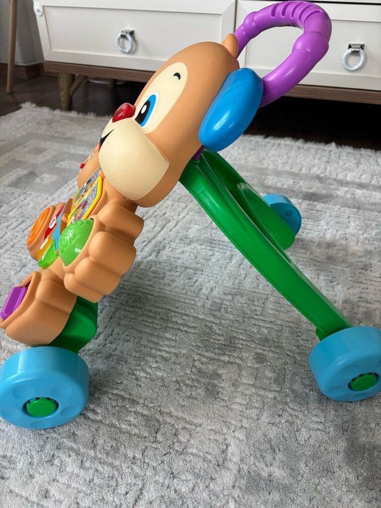 Fisher-price Eğitici Köpekçik Yürüteç - 2