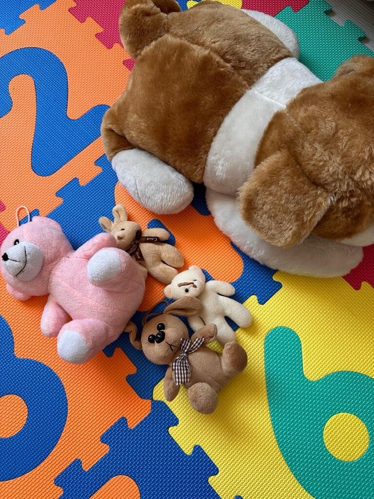 Peluş Köpek ve Ayıcıklar - 3