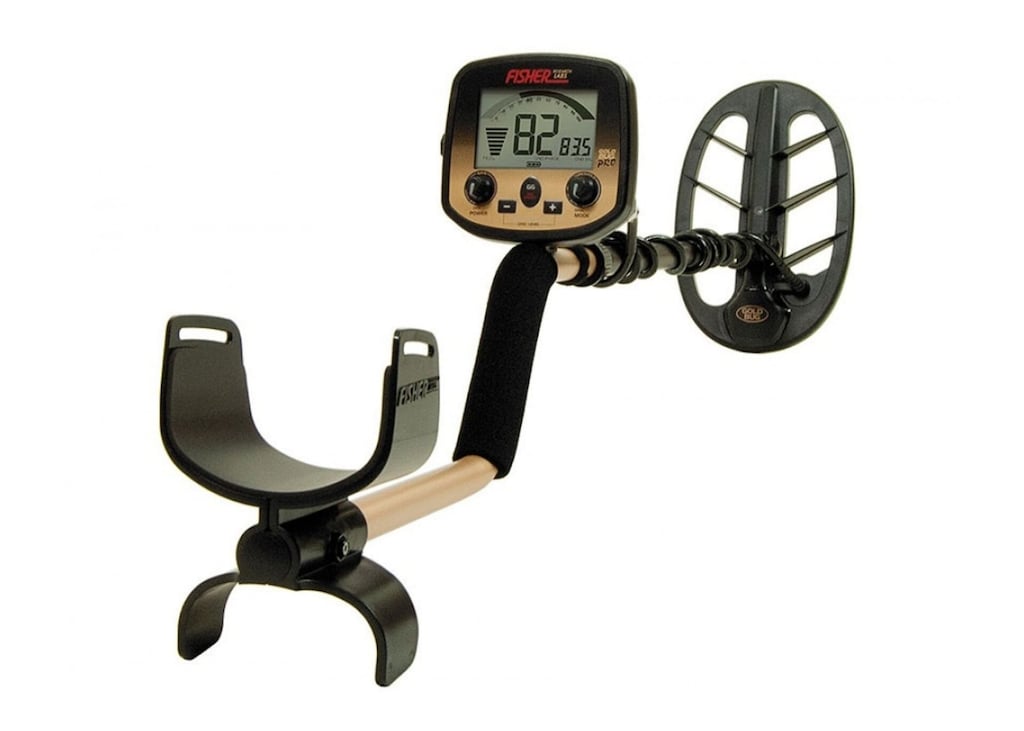 Fisher Gold Bug DP Yüksek Frekanslı Altın Dedektörü (28 cm DD Başl... - 3