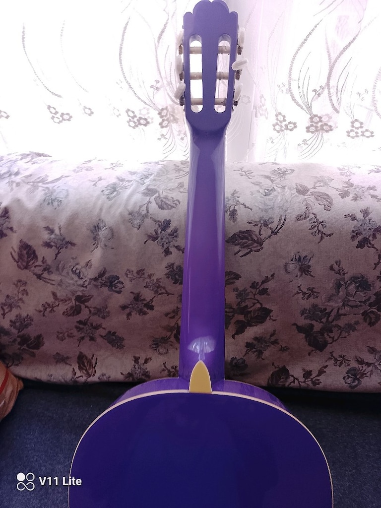 Masterwork gitar - 10