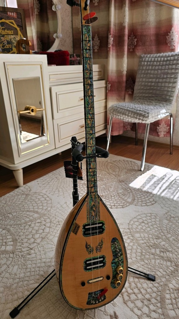 prof. elektro saz - 2